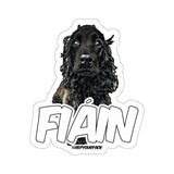 Fiain Stickers