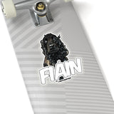 Fiain Stickers