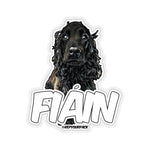 Fiain Stickers