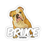 Bruce Stickers