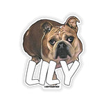 Lily Stickers