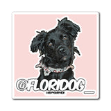 Carly @floridog_ Magnets