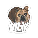 Lily Stickers