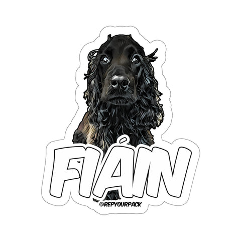 Fiain Stickers