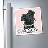 Carly @floridog_ Magnets