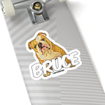 Bruce Stickers