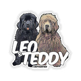 Leo & Teddy Stickers
