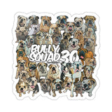 Bully Squad 30 White Sticker