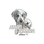 Atlas & Aurora stickers