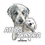 Atlas & Aurora stickers