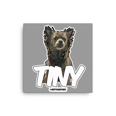 Tiny Canvas (Grey BG)