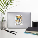 Bruce Bubble-free stickers