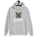 Bane Unisex Hoodie